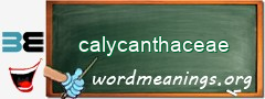 WordMeaning blackboard for calycanthaceae